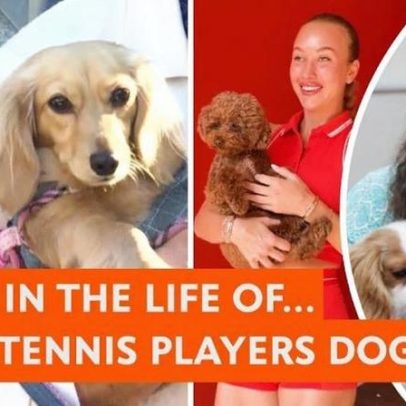Roland Garros tem primeira dog walker; fãs enfrentam calor