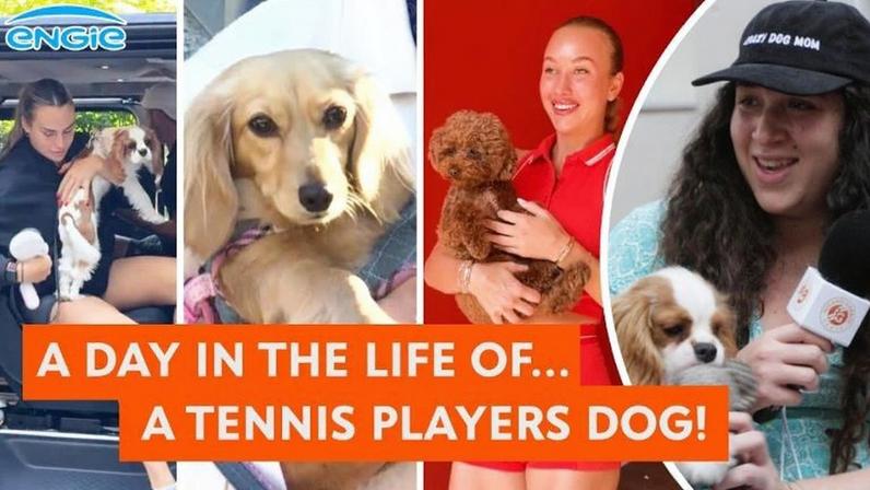 Foto: Roland Garros/ YouTube