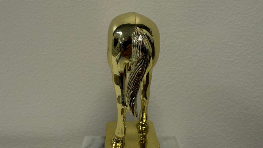 Troféu "jackass" para Elon Musk gera controvérsia