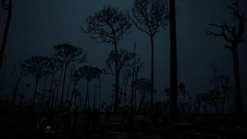 Under pressure from expanding soybean cultivation and transport infrastructure, protected areas in the Jamanxim region could become even more vulnerable. Image courtesy of Vinícius Mendonça/Ibama.