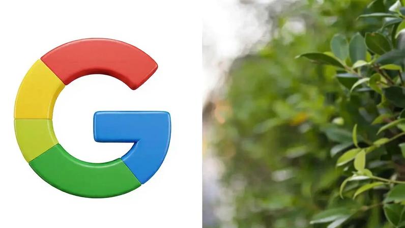 Logotipo do Google em formato de G colorido e vários mosquitos voando em um fundo verde de folhagem