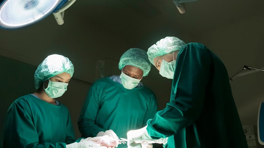 Rins e fígado de porco são transplantados para a mesma pessoa pela primeira vez