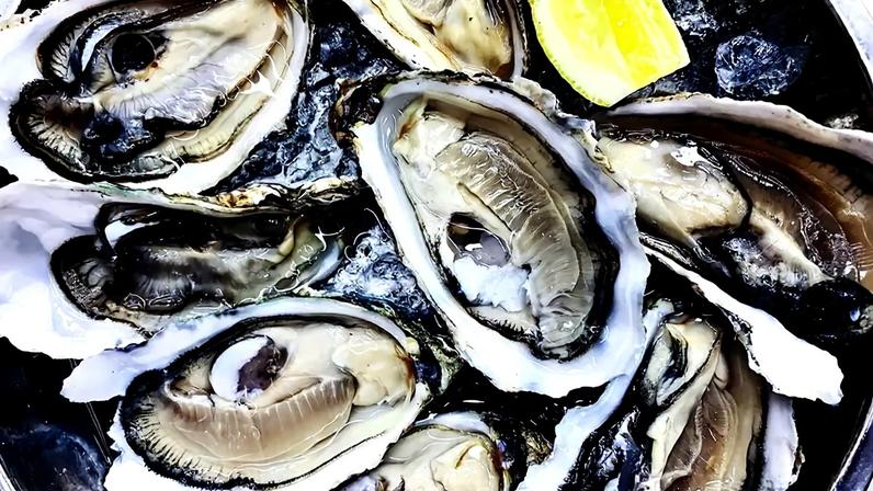 Bactérias resistentes em pescados e frutos do mar crescem silenciosamente