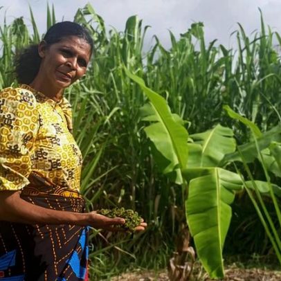 No Malawi, a fazenda de uma mulher mostra o que é possível com terra e apoio