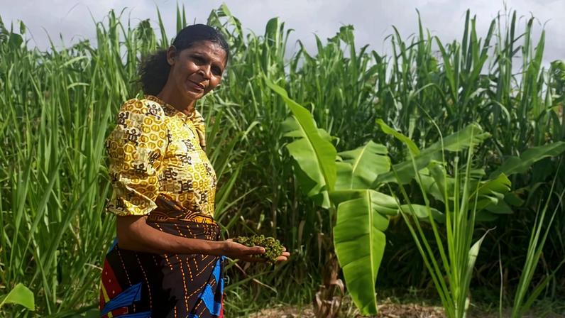 Diane Sitima at her farm. Image by Charles Mpaka for Mongabay.