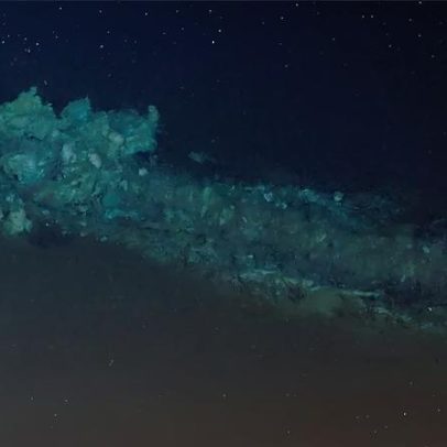 Centenas de carcaças de baleias são encontradas juntas no fundo do oceano