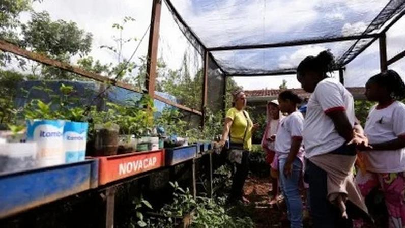 Programa de educação ambiental incorpora saberes locais em escolas públicas