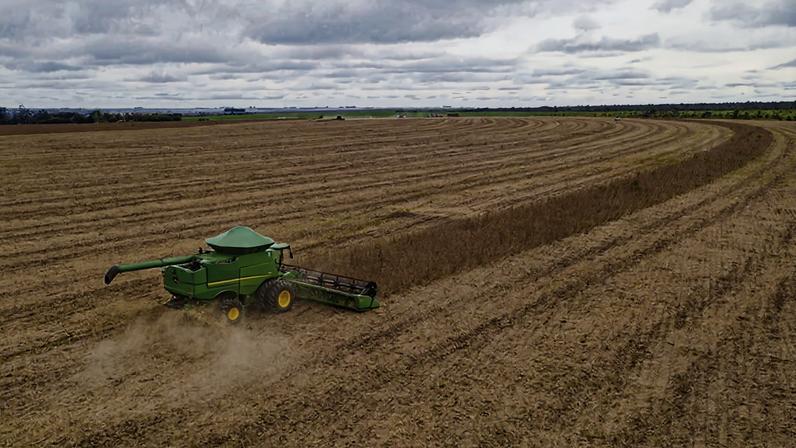 As plantações de soja, milho e algodão tomam conta da paisagem – Imagem: Marcos Vergueiro/GOVMT