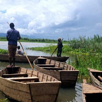Pântano dos Elefantes no Malawi: desafio de proteger área que sustenta milhares