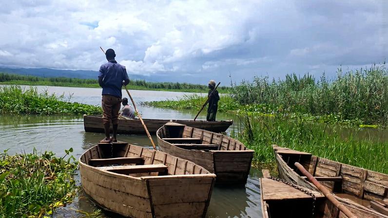 Pântano dos Elefantes no Malawi: desafio de proteger área que sustenta milhares