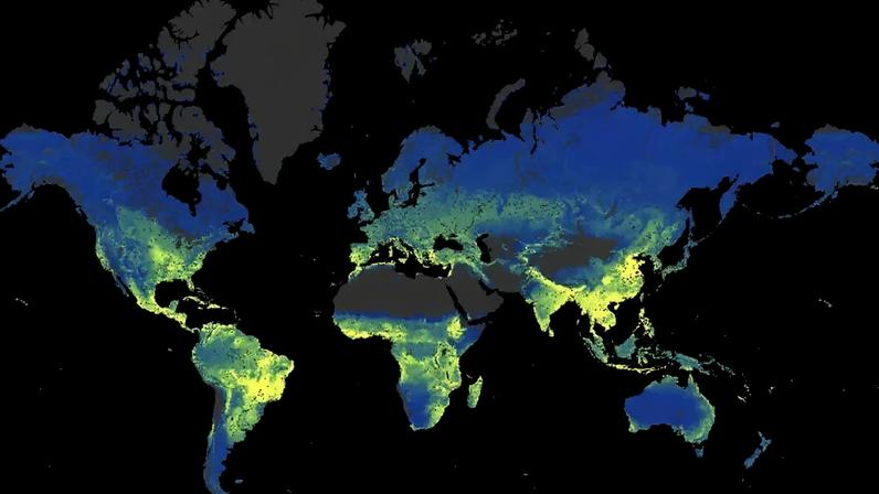 Mapa-múndi com áreas terrestres coloridas em tons de azul e amarelo, indicando diferentes níveis de vegetação. Áreas cinzas representam gelo ou desertos, e o fundo é preto. O amarelo concentra-se em regiões tropicais e subtropicais, como Amazônia, África Central e Sudeste Asiático, enquanto o azul predomina em latitudes mais altas, como Canadá e Rússia