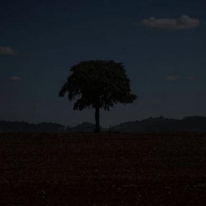 Desmatamento cai no Brasil; não é hora de enfraquecer o que funcionou