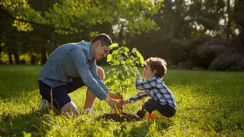 What Does It Mean to Be a Good Steward?