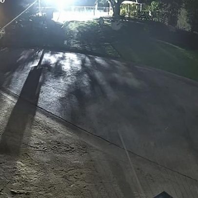 Busca em andamento após diabo-da-Tasmânia fugir de parque na Gold Coast