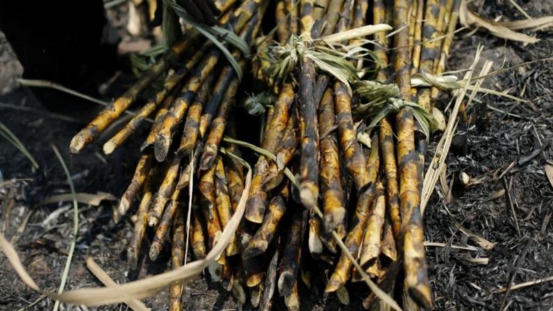 Os preços do arroz estão subindo, embora a Índia, que responde por 40% das exportações globais, esteja com amplos suprimentos após anos de colheitas quase recordes.