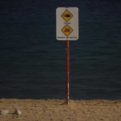 Mulher perde o braço após ataque de tubarão em Coogee, diz família devastada