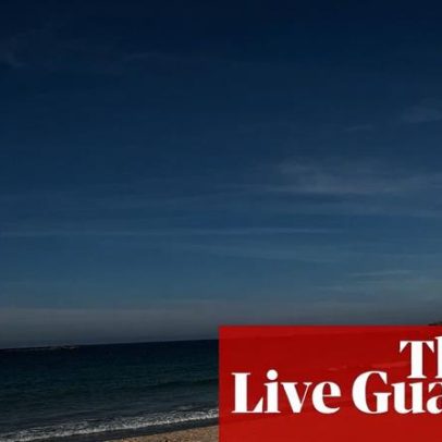 Especialistas contestam cull de tubarões após ataque; estudantes temem liberdade