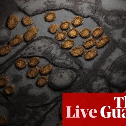 Austrália: gripe H5N1 é emergência de vida selvagem e rebate de combustível estendido
