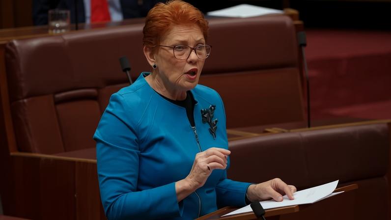 One Nation founder Pauline Hanson’s poll numbers have continued to rise despite a string of controversies that would ordinarily damage a politician’s standing.