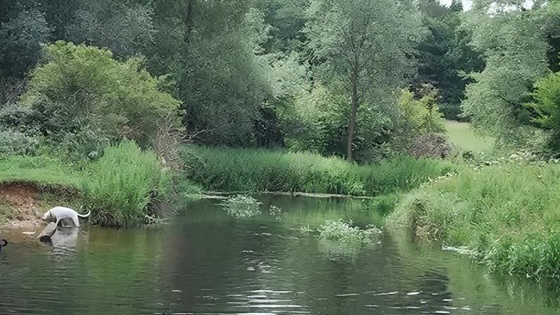 Flows for the River Yare have been recorded as being exceptionally low in Colney, Norwich
