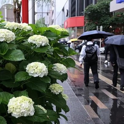 Tufão Jangmi ameaça Japão enquanto Europa enfrenta onda de calor