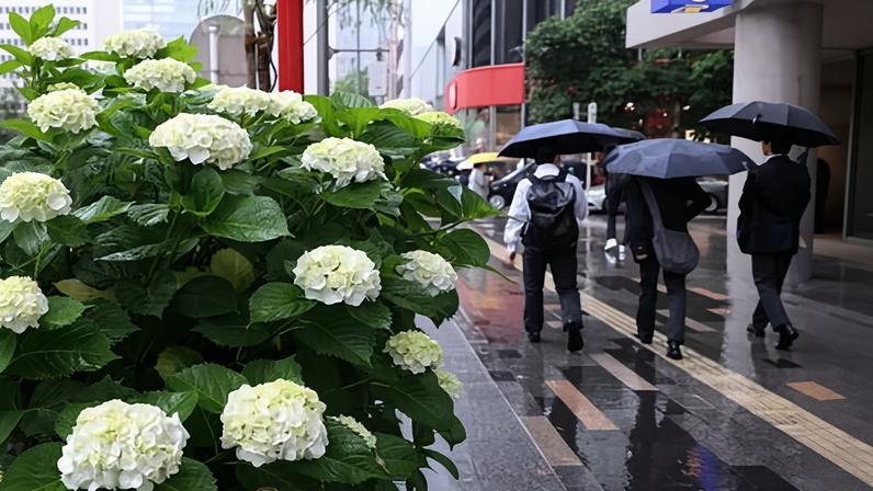 Tokyo, Japan. Parts of the country are bracing for Typhoon Jangmi this week.