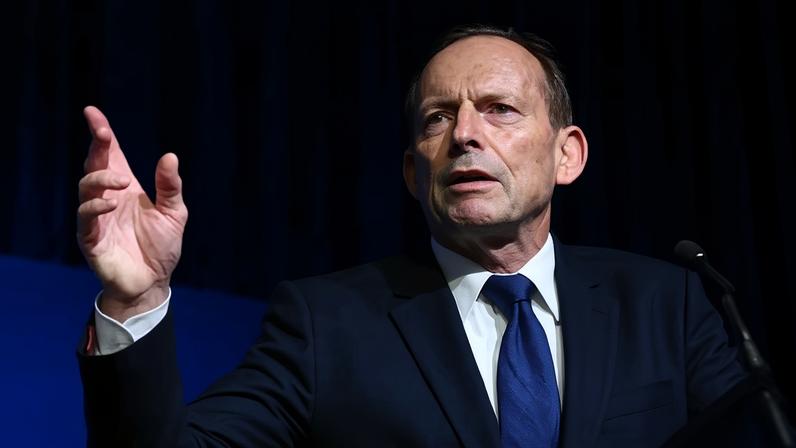 ‘Tony Abbott doesn’t understand risk, he does not understand climate change, and he doesn’t understand the science when he calls for a cull,’ an expert has said in the wake of a shark attack at Coogee beach.