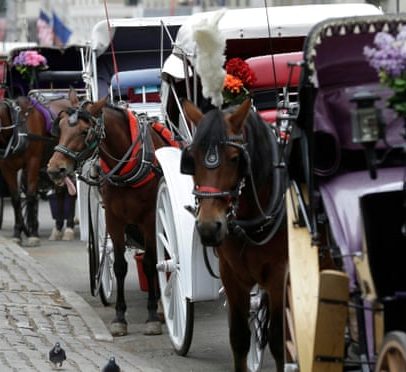 Adolescente morre após cair de carroça puxada por cavalos no Central Park