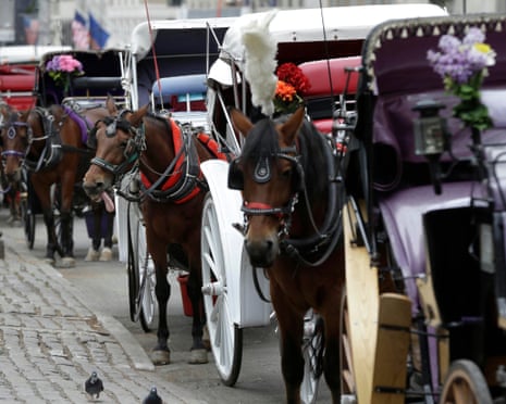 Horses and carriages wait in Central Park in New York in 2013.