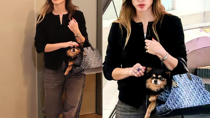 Queria ser ele! Cachorro de Isabelle Drummond, de 'Coração Acelerado', passeia em bolsa Dior de quase R$ 20 mil; sandália de grife também chama atenção