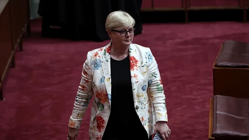 Linda Reynolds in the Senate in 2024. The former defence minister, who left parliament at the May 2025 federal election, was required to repay $8,778.01 after three trips her partner took between Perth, Melbourne and Canberra in May and June 2025.