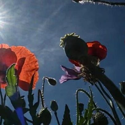 Calor vindo do Saara pode elevar temperaturas na Europa