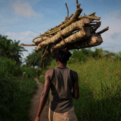 Povos indígenas ganham mais terras em floresta comunitária na RDC