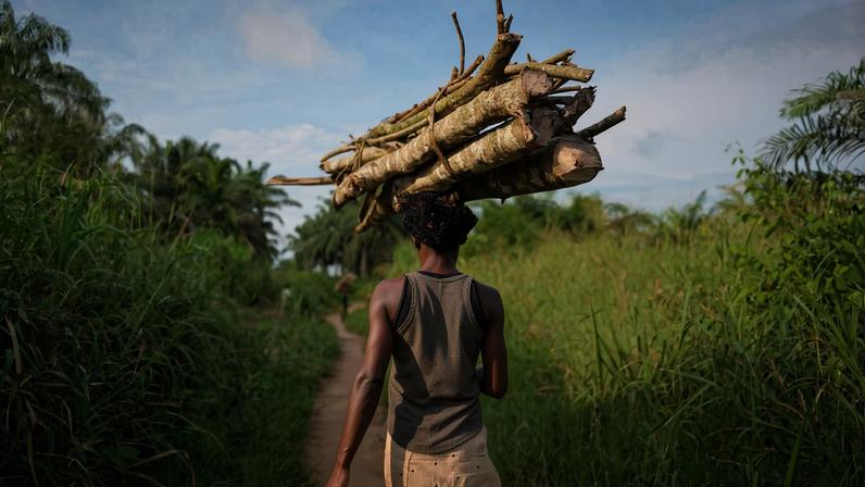 Tshopo province in the Democratic Republic of the Congo granted 31 community forest land titles to farmers in May, bringing a total of more than a million hectares of forest in Tshopo under the legal stewardship of local Indigenous peoples. Bantu and Indigenous Mbuti communities have lived in the province for generations, but without official recognition or formal titles.