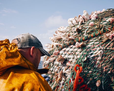 Bycatch tem impacto alarmante na vida marinha britânica, revela primeira análise