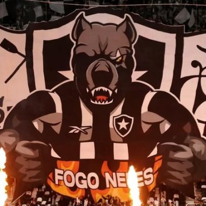 Botafogo e GDA Luma definem próximos passos para compra da SAF