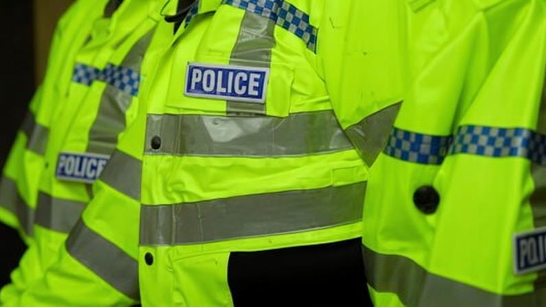 The video shows at least six police officers attended the incident.