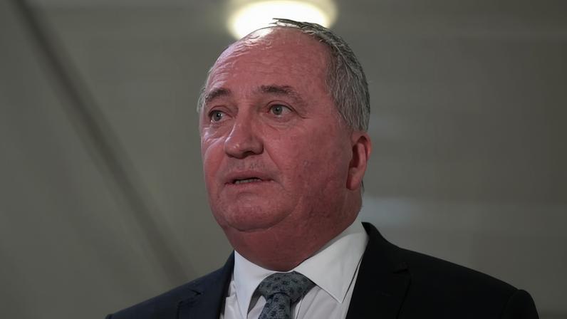 Barnaby Joyce said One Nation’s housing policy ‘obviously applies to people who are foreign citizens who are basically not permanent residents’. Photograph: Lukas Coch/AAP
