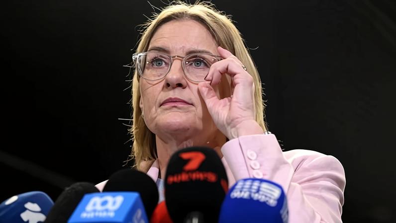 Jacinta Allan diz que Pauline Hanson torce por valentões, em resposta a outdoor