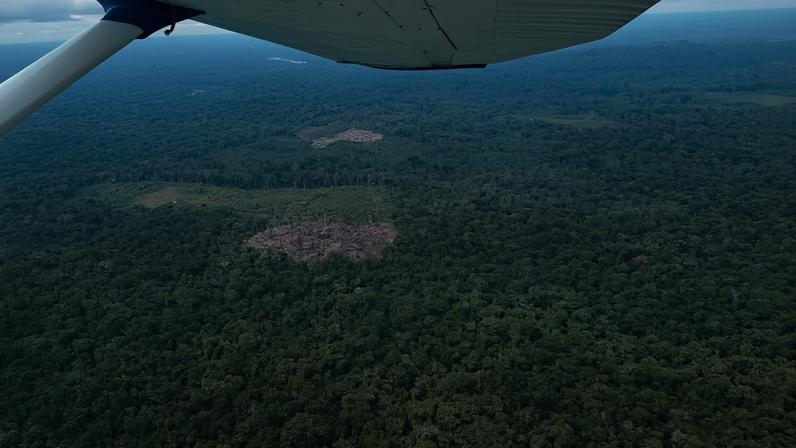 The Yavarí-Tapiche Territorial Corridor from above on the Peruvian side, near the Peru-Brazil border.