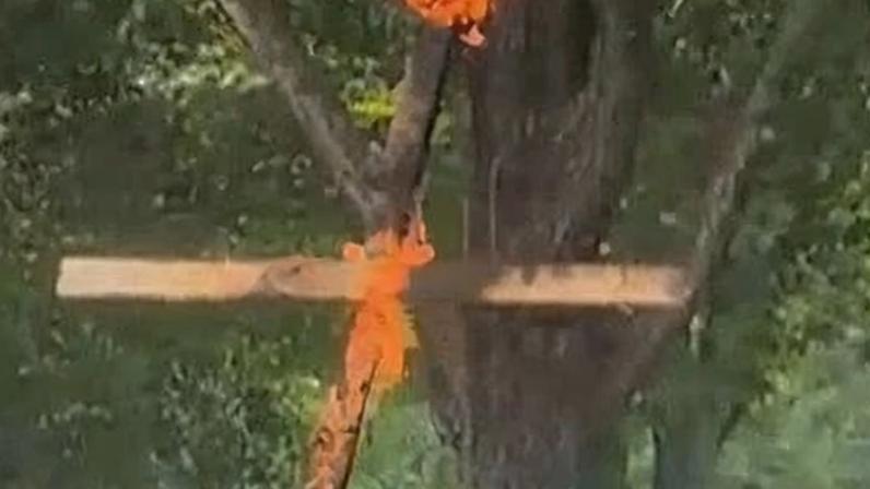 A wooden cross engulfed in flames as it leans against a tree in Grant Park in Chicago, Illinois, on 9 July.