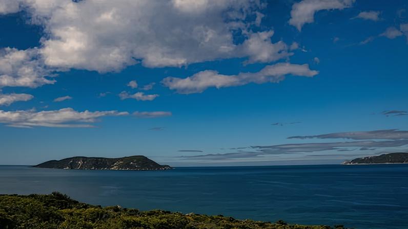Homem luta pela vida após ser mordido por tubarão na costa sudoeste da Austrália