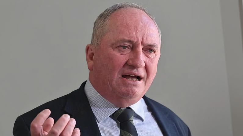 Barnaby Joyce diz que pessoas que parecem imigrantes dominam leilões; quem cita?