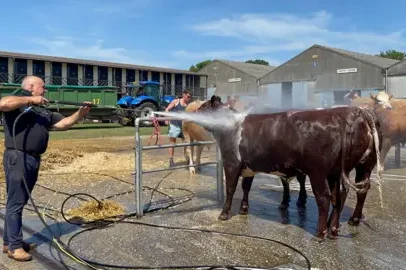 Alerta de calor extremo leva a medidas em evento no condado