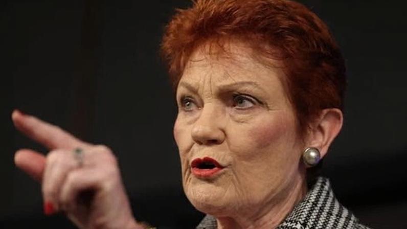 Sindicato de mídia critica ataque de Pauline Hanson a jornalista do Guardian