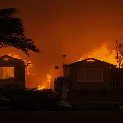 Incêndios devastam áreas mais ricas, mas afetam menos hectares, aponta estudo