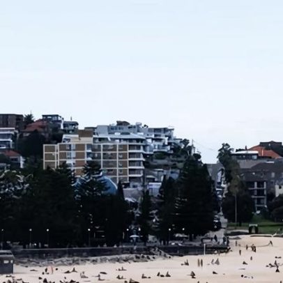 Mulher em estado crítico após ataque de tubarão na praia de Coogee