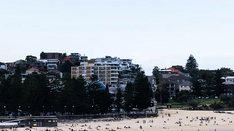 Coogee beach in Sydney’s east has been closed after a woman was critically injured by a shark on Saturday morning.