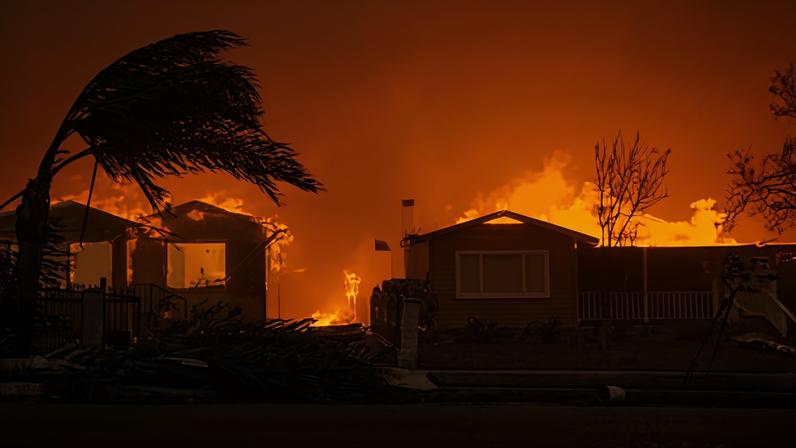 Houses engulfed in flames with a palm tree bending in strong winds and smoke filling the air