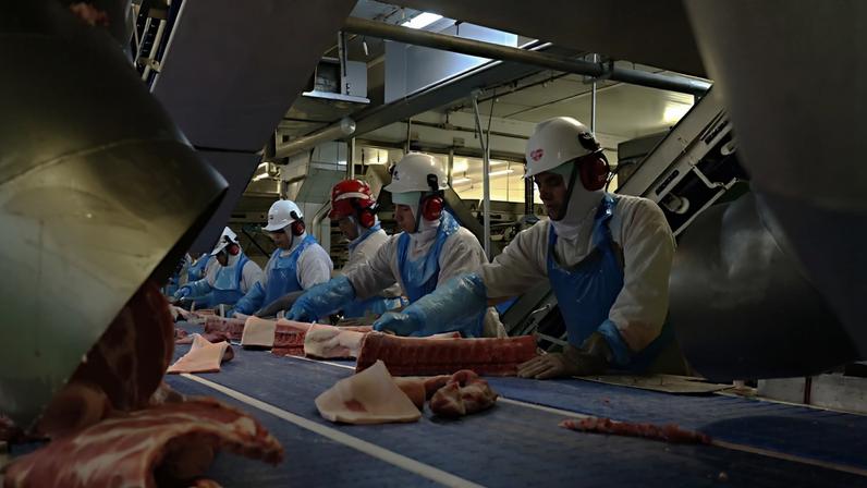 Exportações brasileiras de carne para a UE podem ser interrompidas a partir de setembro (Foto: Albari Rosa/Gazeta do Povo)